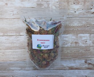 klever-lugovoj-krasnyj-tsvetki