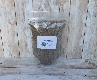 lavanda-uzkolistnaya-tsvetki