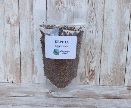 bereza-povislaya-pochki