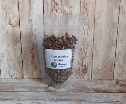 krovokhlebka-lekarstvennaya-koren