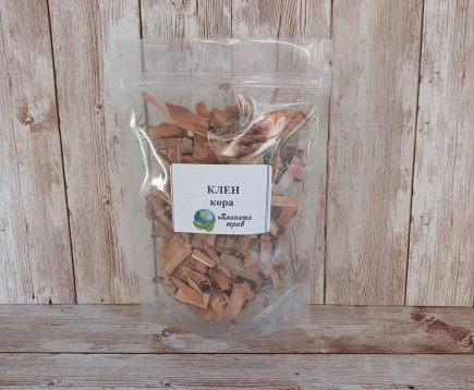 kljon-ostrolistnyj-kora