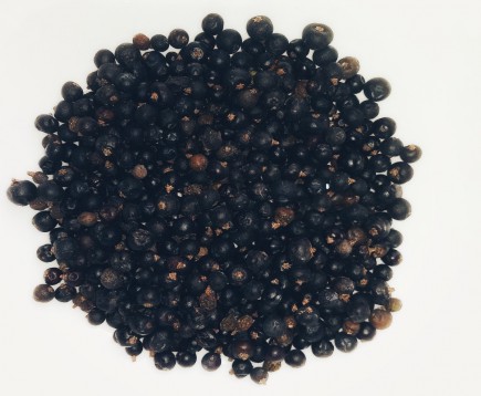 mozhzhevelnik-obyknovennyj-plody