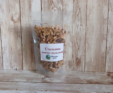 stalnik-polevoj-koren