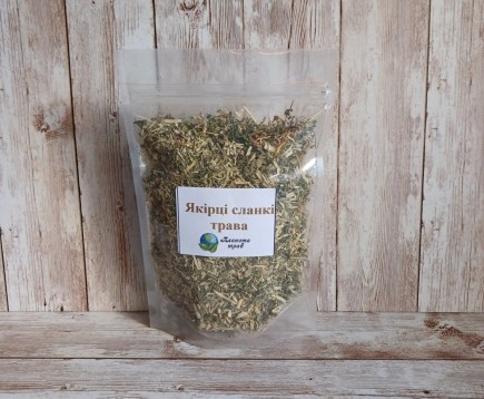 yakortsy-stelyushchiesya-trava