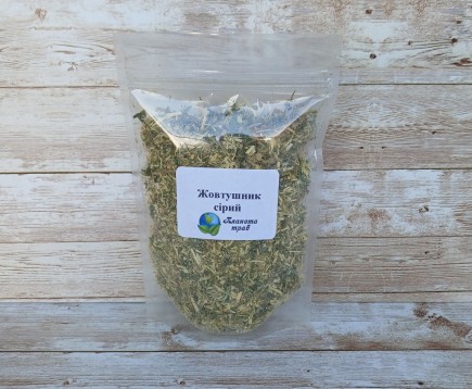 zheltushnik-seryj-trava