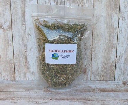 zolotarnik-obyknovennyj-zolotaya-rozga
