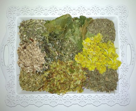 sbor-trav-dlya-kupaniya-detej