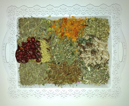 sbor-trav-pri-kozhnykh-zabolevanij-syp-ugri