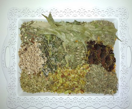 sbor-trav-antinikotinovyj