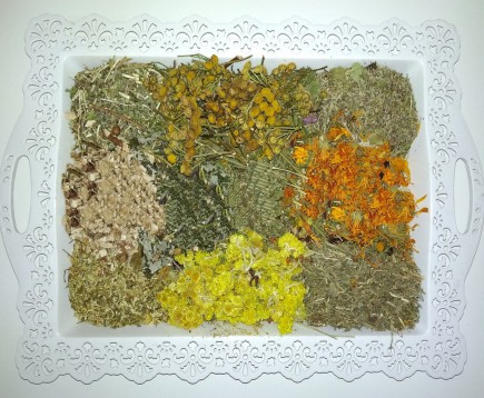 sbor-trav-antiparazitnyj-glistogonnyj